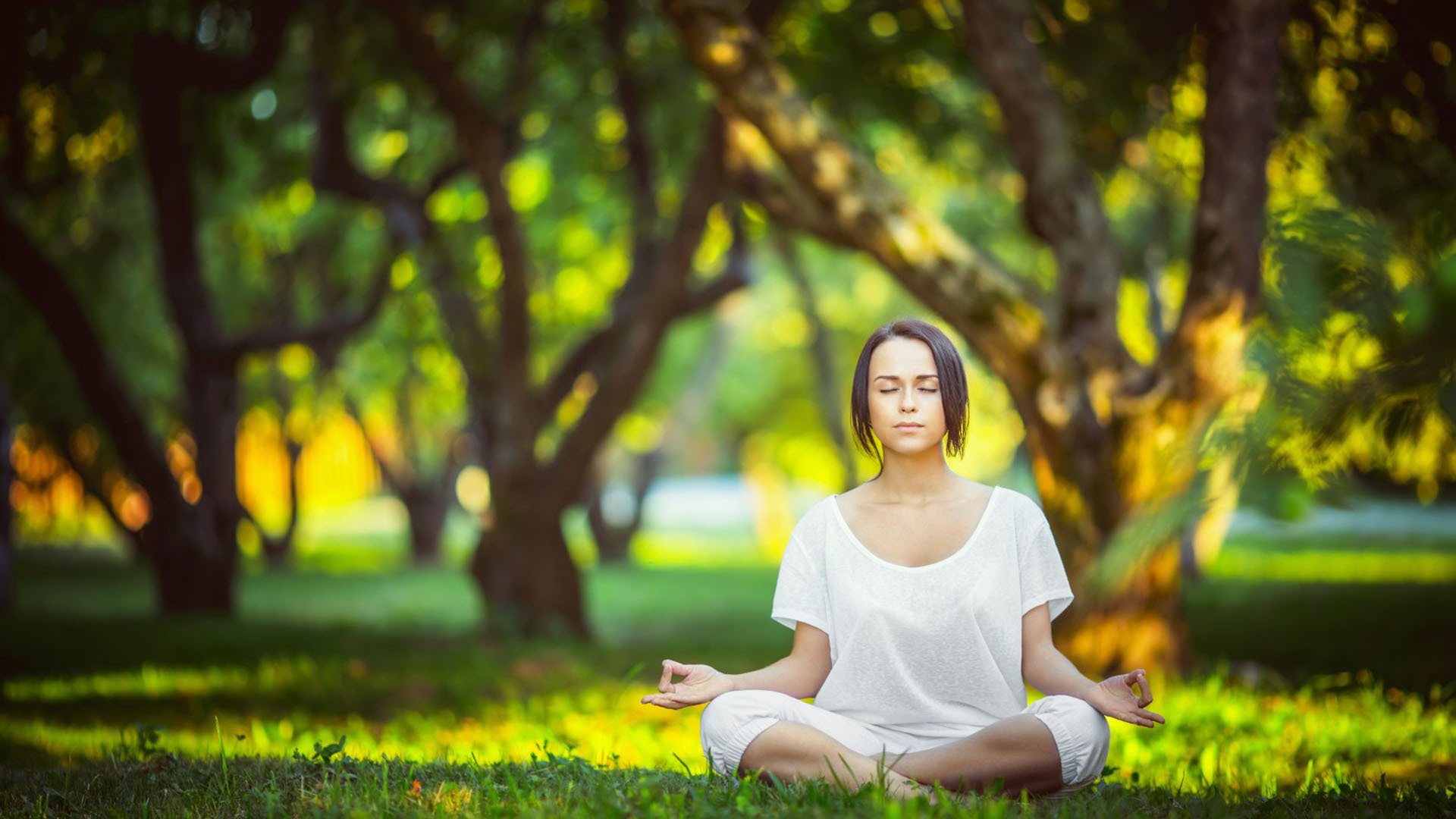 世界体能恢复科研基金第十一轮资助指南发布,世界最强体能大赛